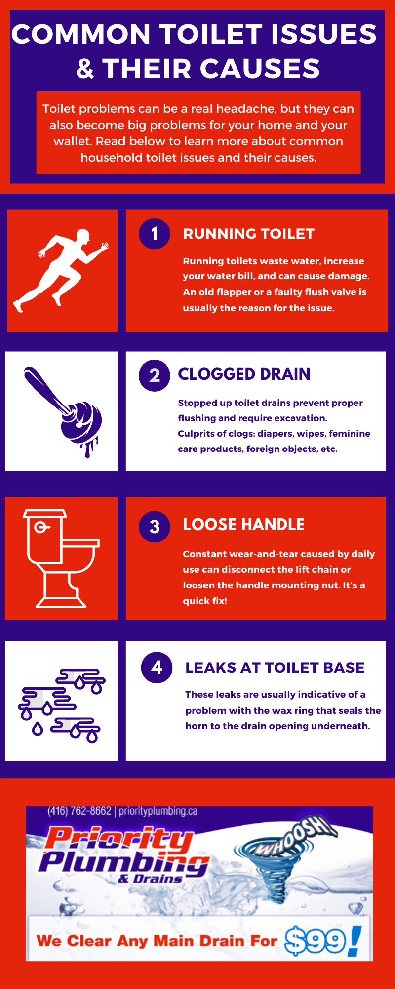 Common Toilet Issues and Their Causes infographic