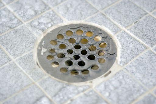 A close-up of a shower drain.